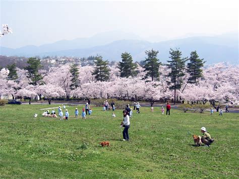 松本 市 友達 作り|長野県松本市の友達作りのサークルやチーム、団体の一覧｜メン .